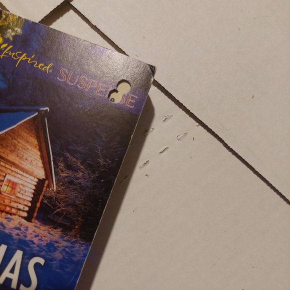 Christmas Amnesia - Picture 4 of 5